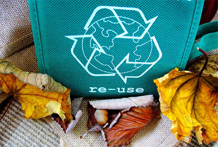 Eco Friendly Waste Removal Techniques