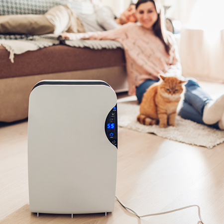 The Unexpected Benefits of Investing in an Air Purifier
