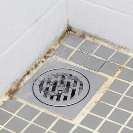 Remove Mold and Mildew