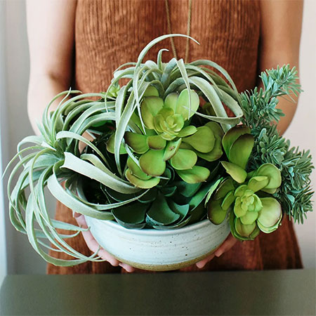 Create A Long-Lasting Arrangement Using Succulents