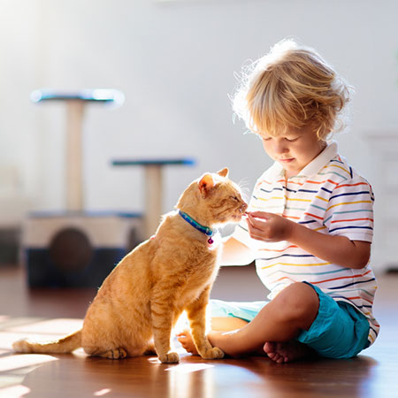 Finding a Pet-Friendly Property