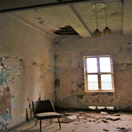 Top 10 Common Causes of Mold Growth in Homes