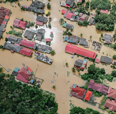 Steps to Professional Water Damage Restoration