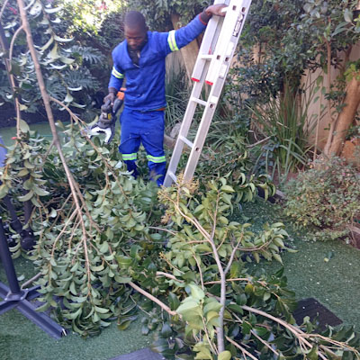 The Worx JawSaw dramatically cuts down the time you need to spend on trimming trees and shrubs for quicker and more effective garden maintenance.