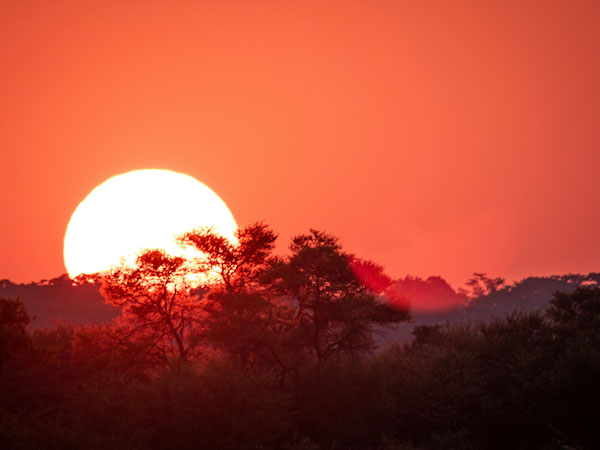 Limpopo is currently South Africa’s hottest property destination