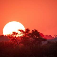 property in limpopo