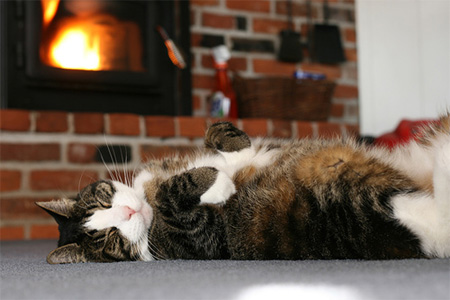 eco-friendly heating options