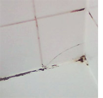 Keep mould out of the bathroom 