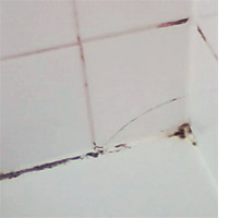 Keep mould out of the bathroom 