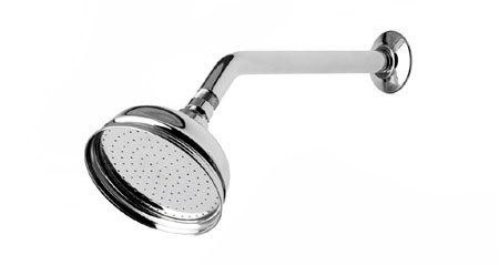 Install a new showerhead 