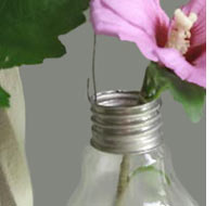 Recycled lamp bulb vases