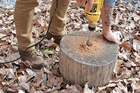 A stump for your tree!