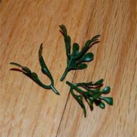 How to make a topiary