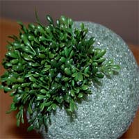 How to make a topiary