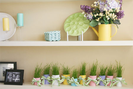 Grow your own wheatgrass in colourful, recycled containers 