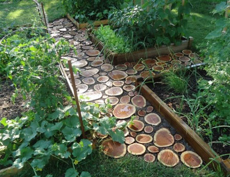 cut tree stump path or walkway