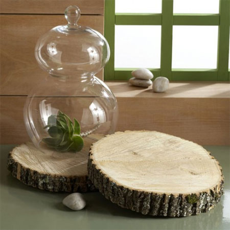 wood coasters with branch offcuts