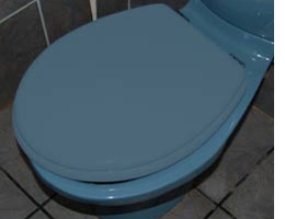 replace a toilet seat