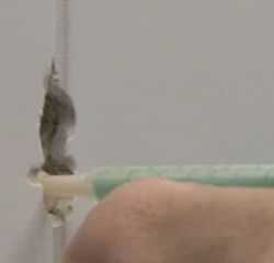 Perfect fixing every time