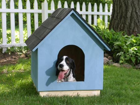 Build a basic dog house or kennel
