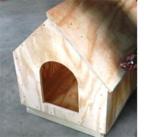 Build a basic dog house or kennel 