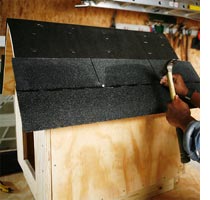 Build a basic dog house or kennel 