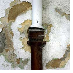Prevent damp and mould 