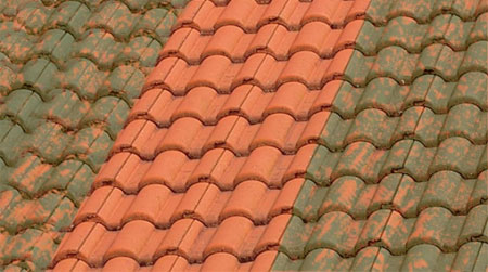 How to clean and paint tiles and roofs