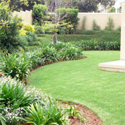 Give your lawn a makeover