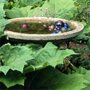 Design a small water feature