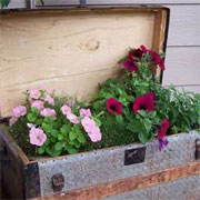 Imaginative use of recycled items for containers
