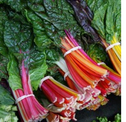 Add colour to garden beds with Swiss Chard 