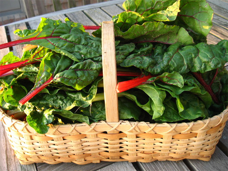 Add colour to garden beds with Swiss Chard 