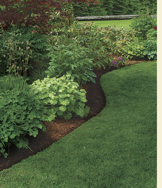 HOME DZINE Garden | Perfectly edged beds and borders
