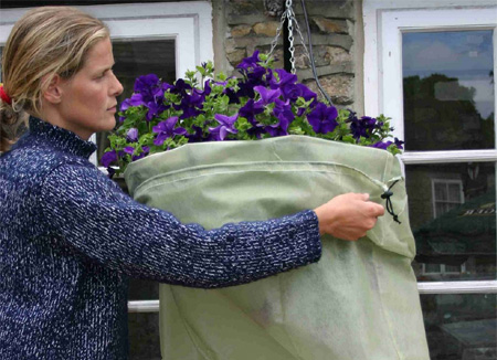 Protecting your plants against frost