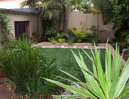 garden with artificial lawn