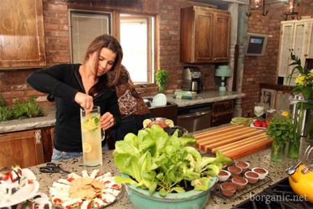 Grow fresh herbs in your kitchen! 