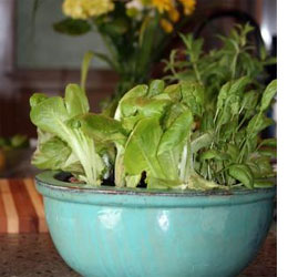 countertop salad bowls
