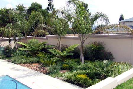 landscaped garden