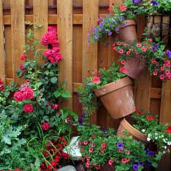 container displays in the garden