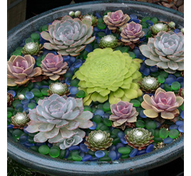 indigenous water wise low maintenance garden design