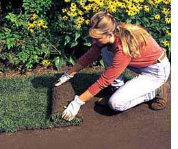 How to lay instant lawn 
