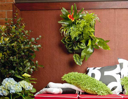 Plant up a vertical garden for indoors or outdoors 