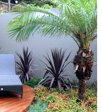 winter landscape in a garden