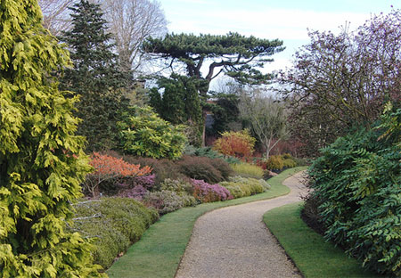 Creating a winter landscape in a garden