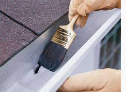 Clean and repair gutters