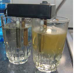 How clean is your tap water