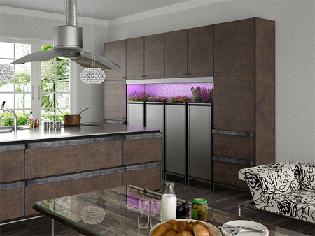 future kitchen ideas