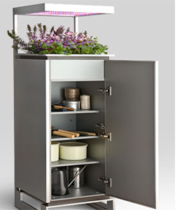 Kitchen of the [near] future?