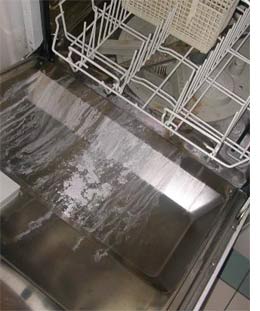 Make your new home liveable and your appliances last longer